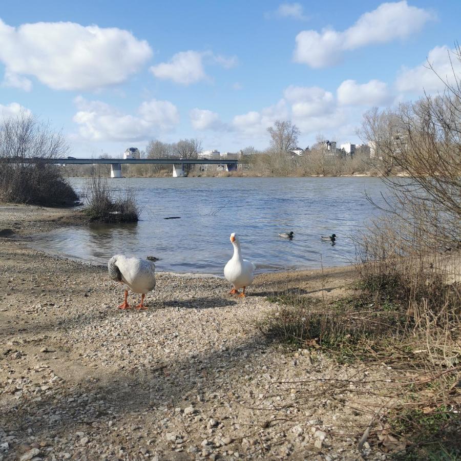 Chambre Evasion Tout Confort Saint Marceau Orleans Luaran gambar